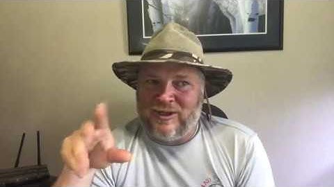 Welcome to MeWe Here is What You Need to Know About It