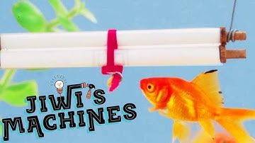 Fish (SLO-MO) - Jiwi