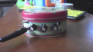 Noisy Cricket Amplifier Deluxe