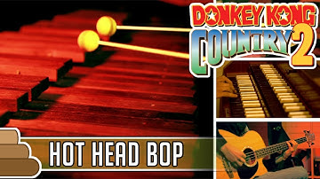 David Wise - Hot Head Bop [Donkey Kong Country 2]