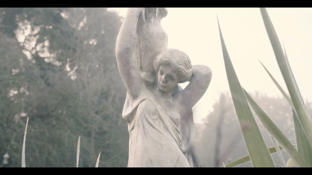 Savoring Roses: From Starter to Dessert | How to Create a Dinner with Roses as the Star Ingredient