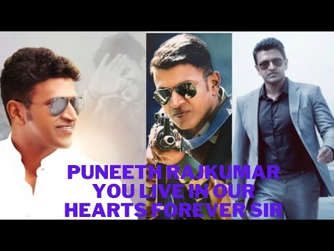 Puneeth Rajkumar birthday WhatsApp Status🎂|All Kings don't have crown Some have beautiful smile|Appu