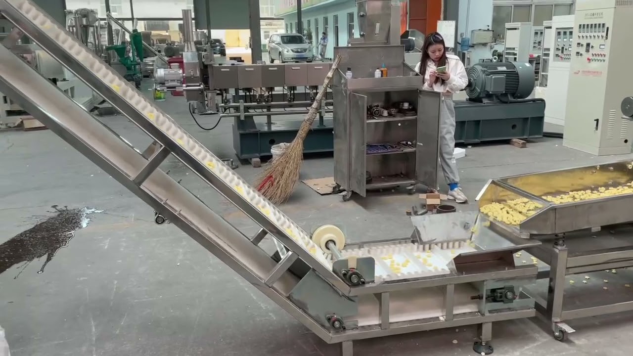 ZH70 Petal-shaped puffed food production line