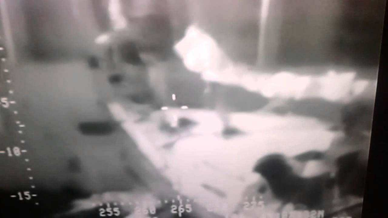 Man saves his cat in dramatic Sea Rescue!