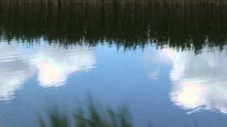 Water mirror - espelho d'agua - water spiegel screenshot 2