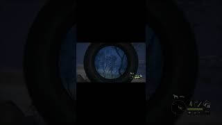 making a call of the wild video every day until I get 1000 subs day567