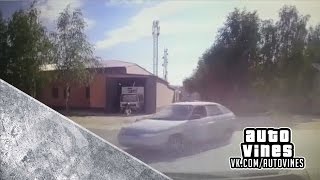Auto Vines №135
