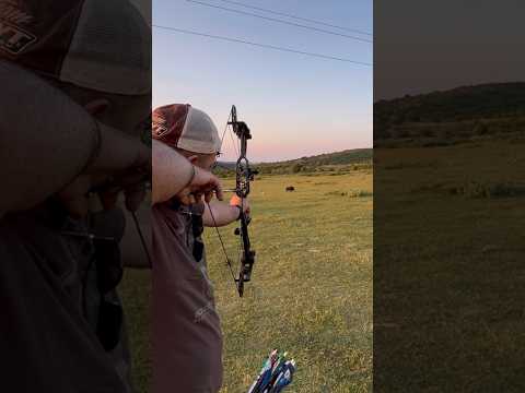 Junxing Makaralı Yay Model: M126, 3D Domuz Hedef! #hunter #compoundbow #crossbow #bowhunting