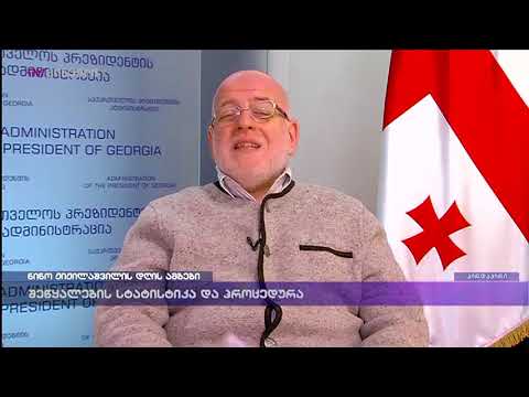 ზვიად ქორიძე ნინო ჟიჟილაშვილის დღის ამბებში