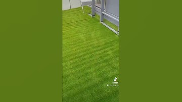 Cỏ nhân tạo sân vườn #conhantaosanvuon #conhantaotrangtri
