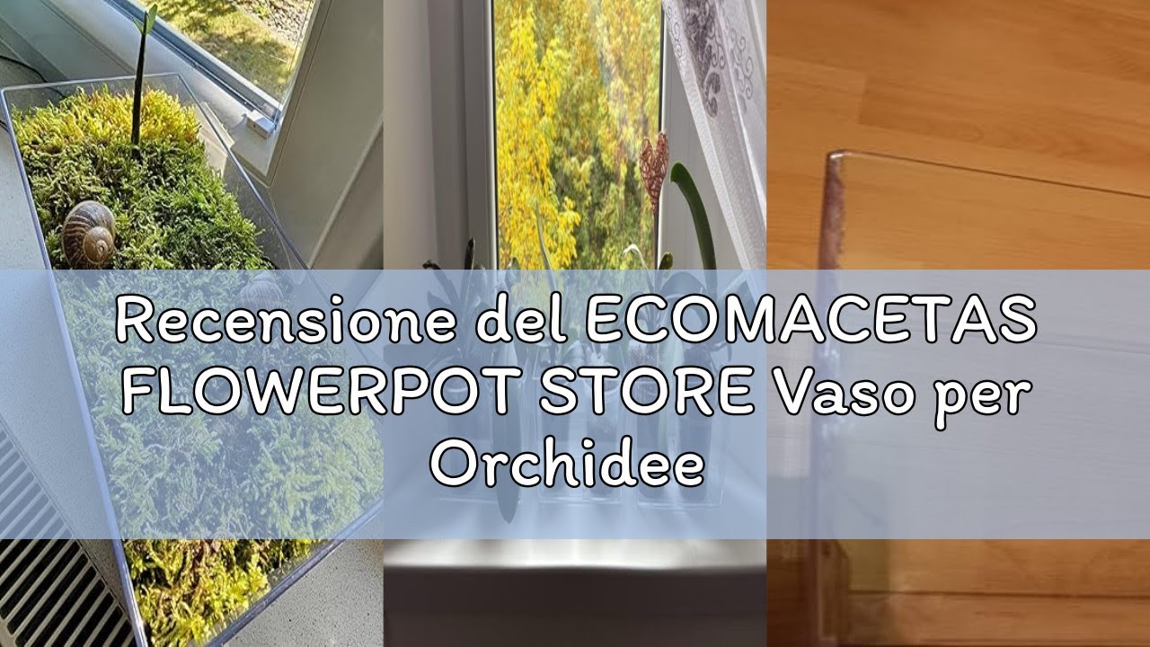 Recensione del ECOMACETAS FLOWERPOT STORE Vaso per Orchidee Trasparente ...