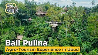 Bali Pulina Agro-Tourism attraction in Ubud, Bali Indonesia