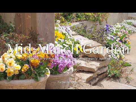 フラワー・ガーデニング thtrjrtj hqdefault.jpg