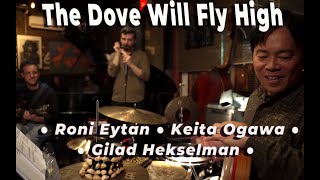 "The Dove Will Fly High” - Roni Eytan, Gilad Hekselman & Keita Ogawa (Live)