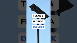 States Are Dropping Flock Noticias