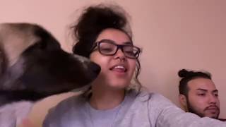 Vlog #2 RANDOM ASS SHIT