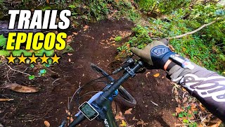 TRANS MADEIRA DÍA 3 - Una de las Mejores Rutas y Trails MTB de Madeira