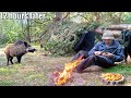 Camping dans la fort comptence de survie  vasily bushcraft