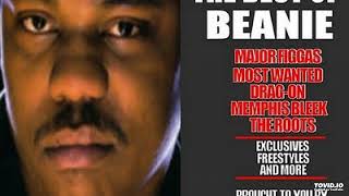 Beanie Sigel 546 - YouTube