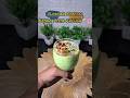Ghar Par Banaye Kesar Pista Faldu💚#gharkerasoibypriyanka#recipe #faluda #weikfield #shorts #falooda