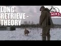 Conseils de dressage du gundog  comment amener votre chien  effectuer de longues rcuprations