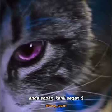 STORY WA || ANDA SOPAN KAMI SEGAN