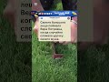 Анекдот про Леща😂 #анекдот
