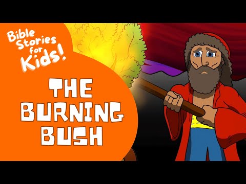 Video: The Burning Bush - A Biblical Legend In Your Garden