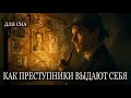 История для сна😴 Почему не существует идеальных преступников