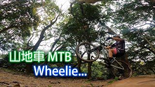 山地車 MTB wheelie