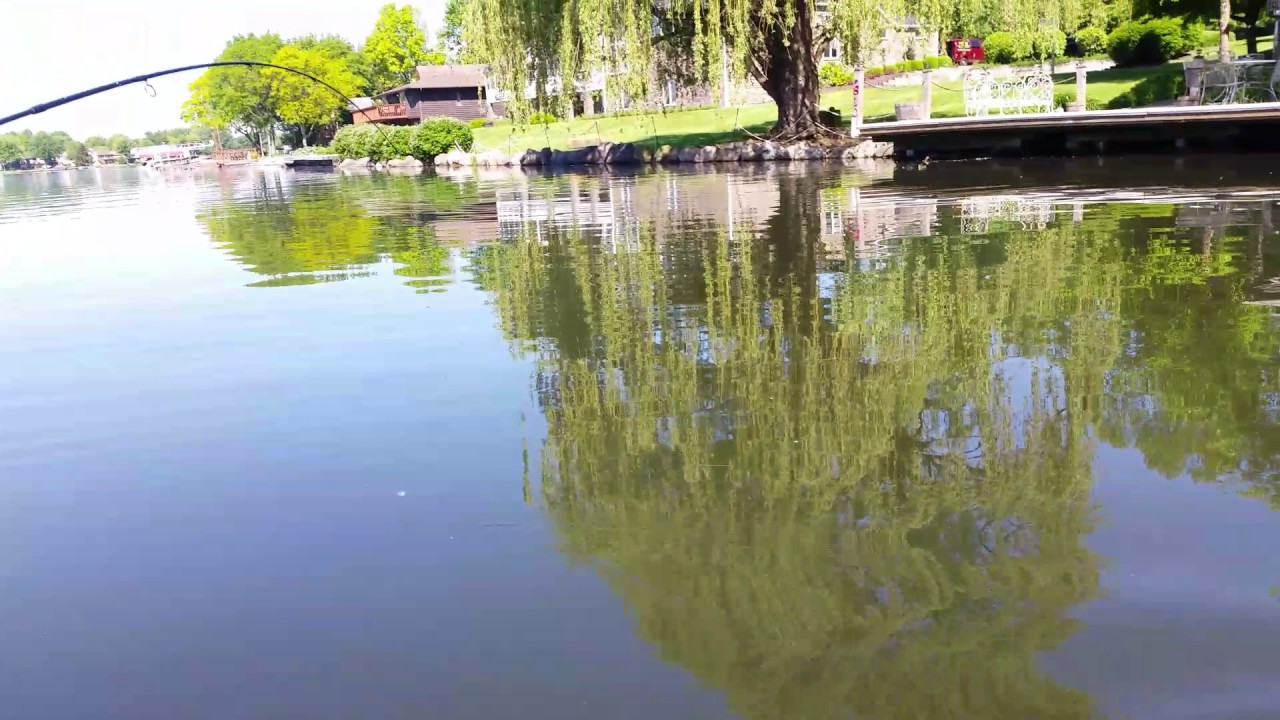4th Northern Pike caught while fishing Candlewick Lake 06.01.17 YouTube