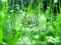 Salah Bukhatir سورة فاطر القارئ صلاح بو خاطر 