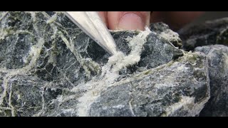 Danziger & De Llano - Mesothelioma