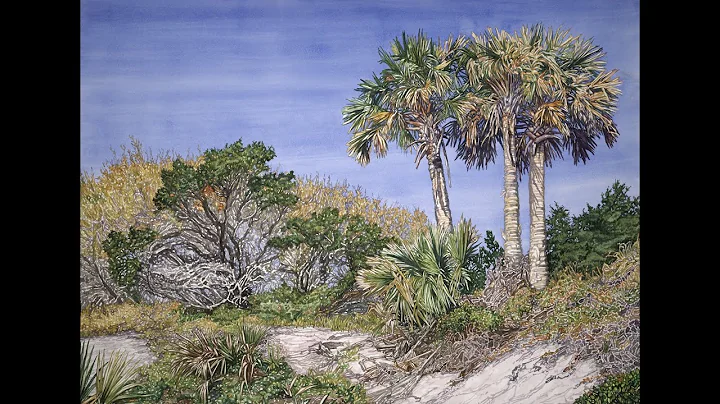 Boardwalk Talk:  The Wilderness of North Florida's...