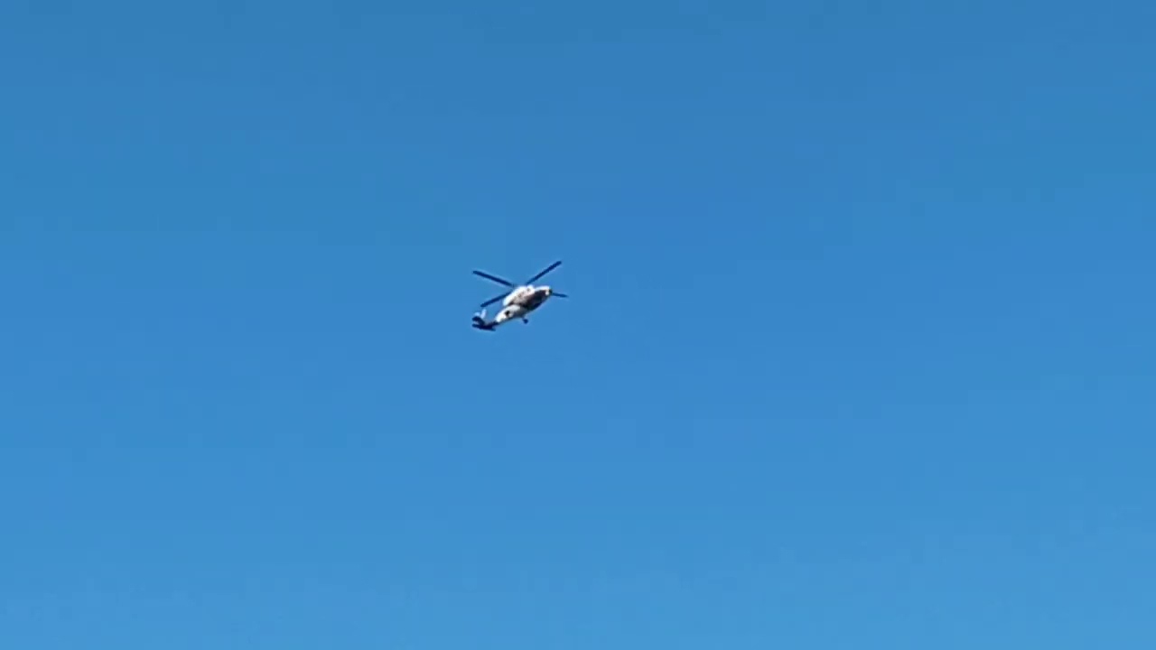 Surf Report 5W aloha n7