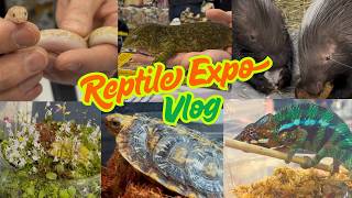 Exploring a HUGE Reptile Expo | WCRE Spring 2026