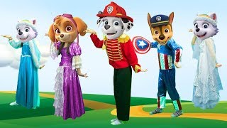 Family Paw Patrol Captain America Finger Family Song