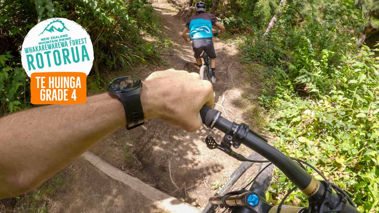 A punchy little number! Te Huinga, Rotorua