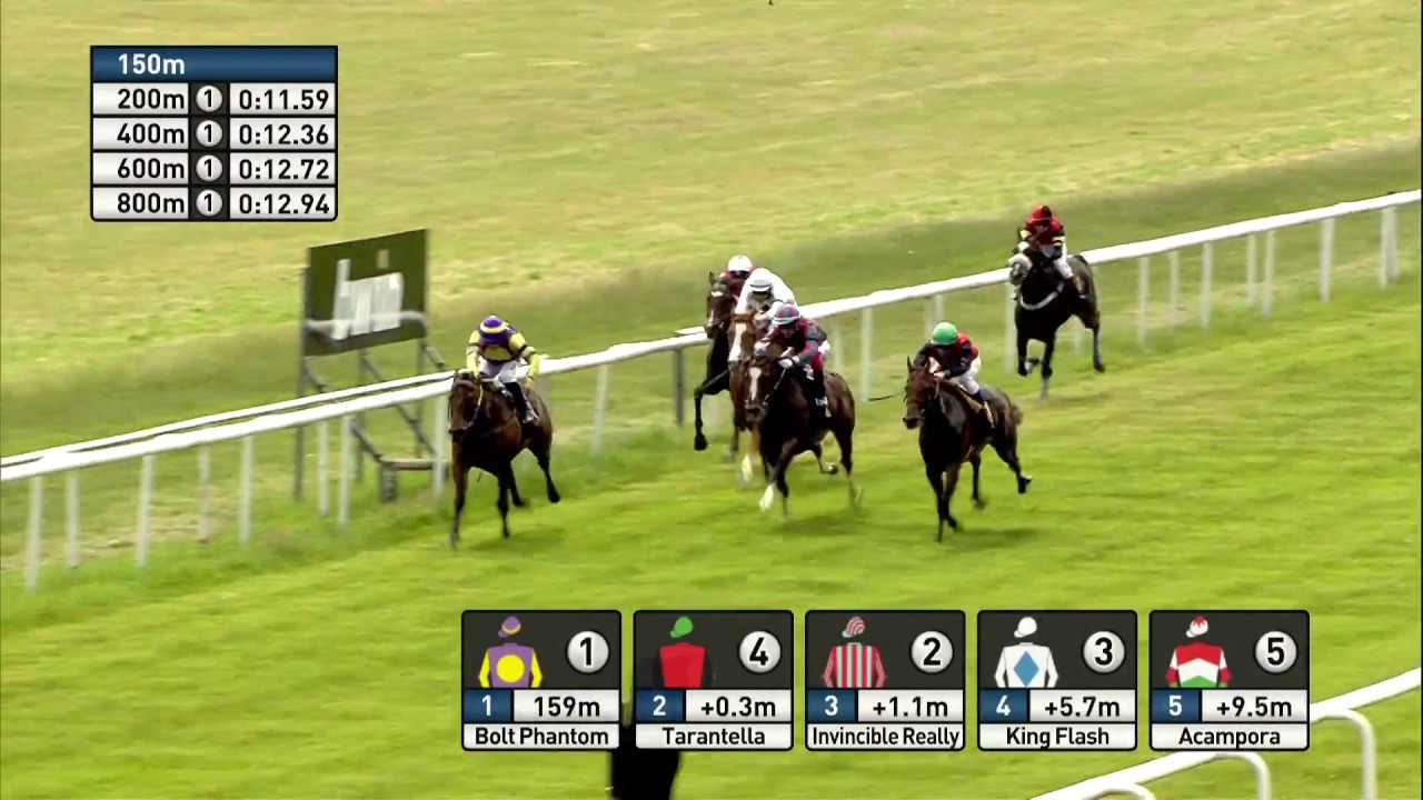 Galopprennbahn Dresden 16.06.2018 - Rennen 1