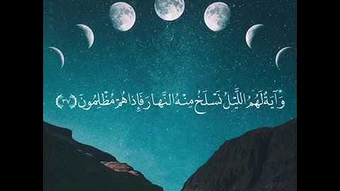 تلاوة خاشعة رائعة|| من سورة يس || حالات واتس اب قرأن || Quran Status 💙