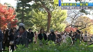紅葉が見ごろ　皇居の乾通り一般公開に長い列(14/12/03)