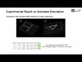 Equivariant Neural Inertial Odometry for Microgravity Space Robotics