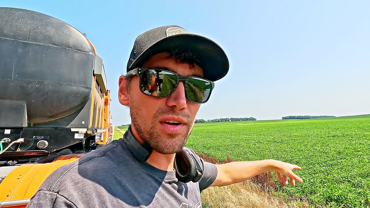 This Is The Year Farmers Dream Of! 