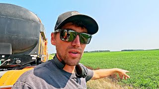 This Is The Year Farmers Dream Of
