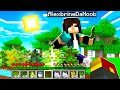 noob Girl "SAVES" Minecraft? (#TeamTrees)