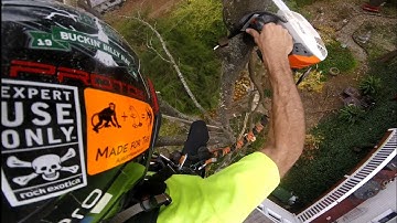 RIG THREE LIMBS WITH ONE ROPE / TREE WORK