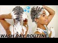 Wash Day Routine For My DRY TWA!