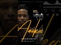 AMIKECO.