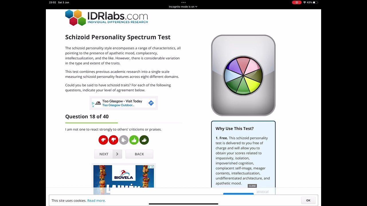 Schizoid spectrum test
