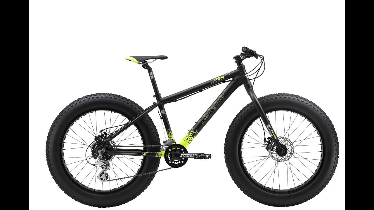 24 fat bike wheels